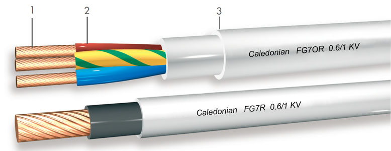 Click to view the big picture